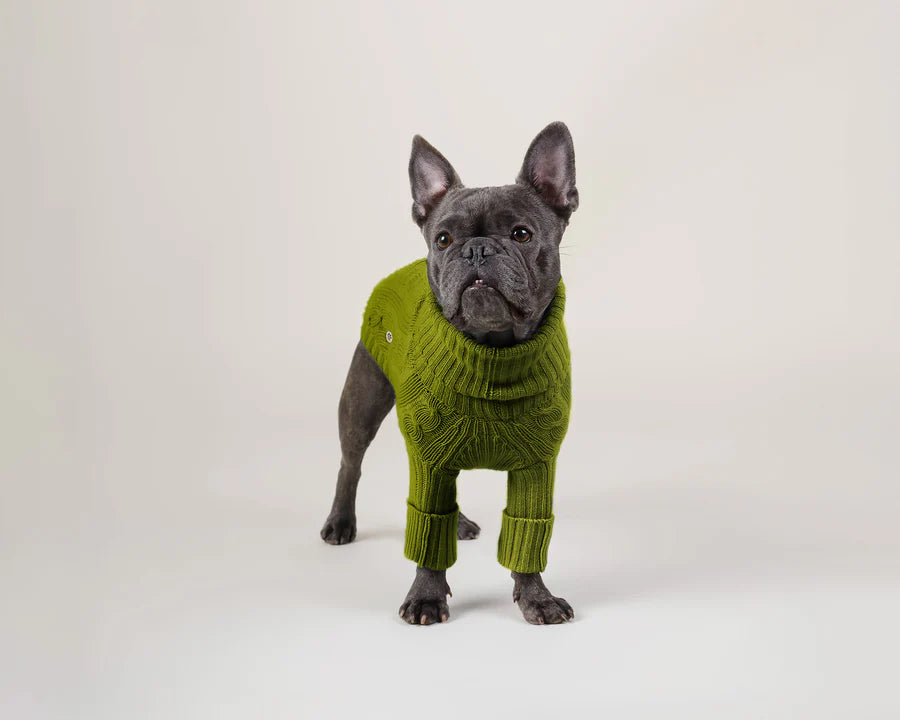 Le Loupinou - Confort et élégance pour chiens