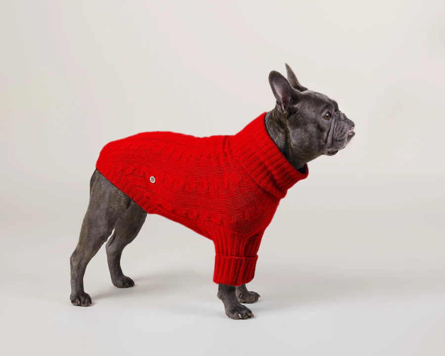 Le Loupinou - Confort et élégance pour chiens